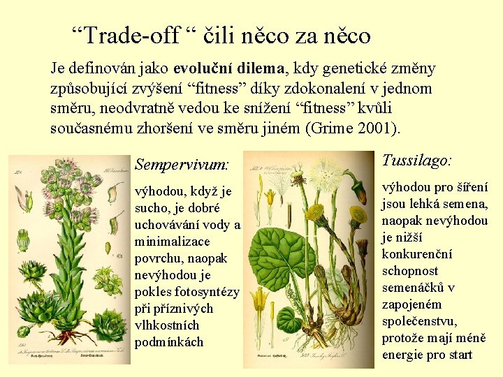 “Trade-off “ čili něco za něco Je definován jako evoluční dilema, kdy genetické změny