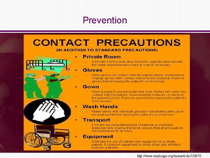 Prevention http: //www. medscape. org/viewarticle/558476 