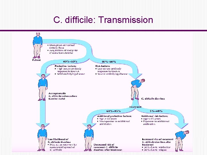 C. difficile: Transmission 