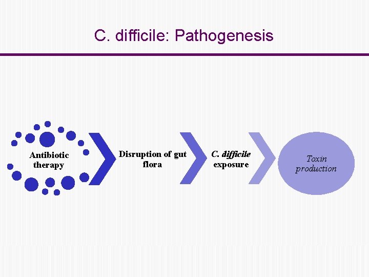 Anita Olczak Clostridium difficile infection Katedra i Klinika