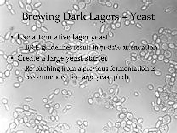 Brewing Dark Lagers – Yeast • Use attenuative lager yeast – BJCP guidelines result