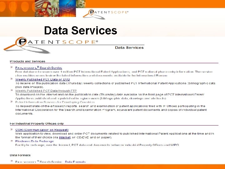 Data Services 30 