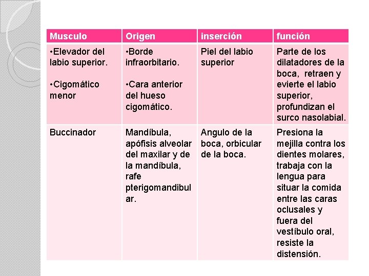 Musculo Origen inserción función • Elevador del labio superior. • Borde infraorbitario. Piel del