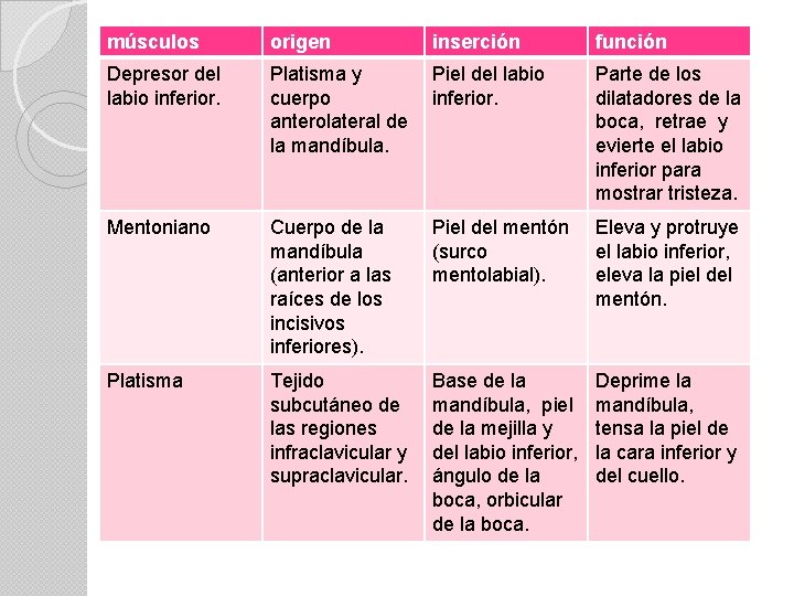 músculos origen inserción función Depresor del labio inferior. Platisma y cuerpo anterolateral de la