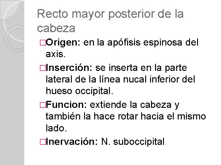 Recto mayor posterior de la cabeza �Origen: en la apófisis espinosa del axis. �Inserción:
