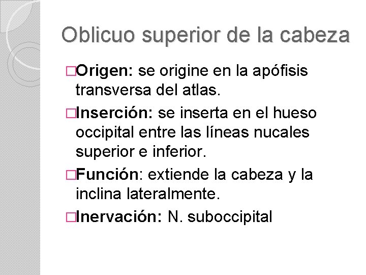 Oblicuo superior de la cabeza �Origen: se origine en la apófisis transversa del atlas.