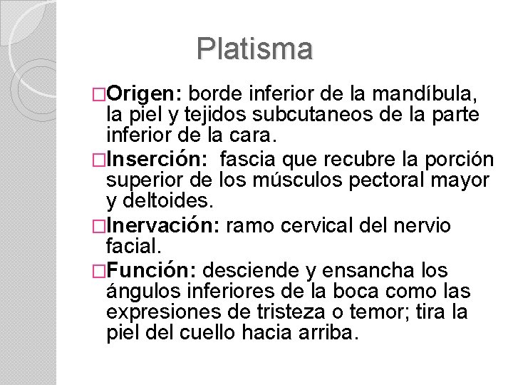 Platisma �Origen: borde inferior de la mandíbula, la piel y tejidos subcutaneos de la