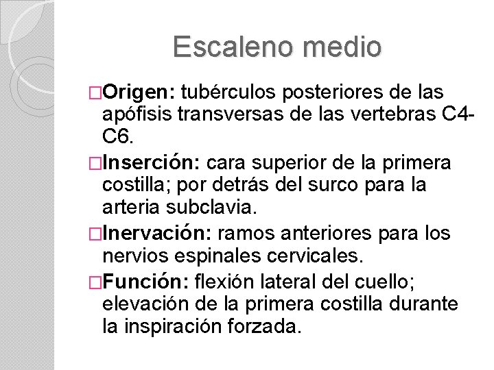 Escaleno medio �Origen: tubérculos posteriores de las apófisis transversas de las vertebras C 4