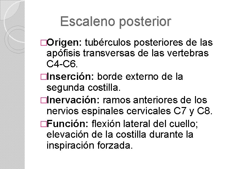 Escaleno posterior �Origen: tubérculos posteriores de las apófisis transversas de las vertebras C 4