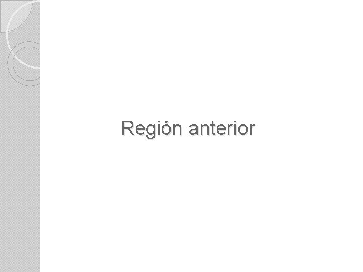 Región anterior 