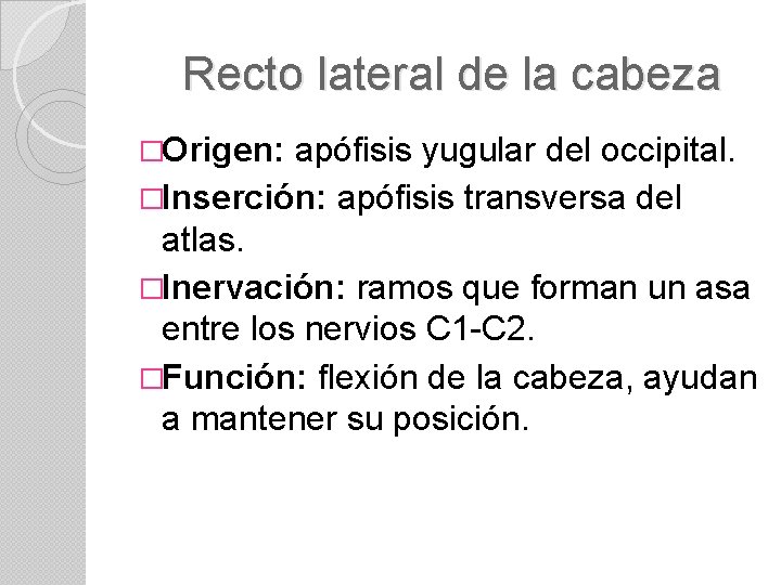 Recto lateral de la cabeza �Origen: apófisis yugular del occipital. �Inserción: apófisis transversa del