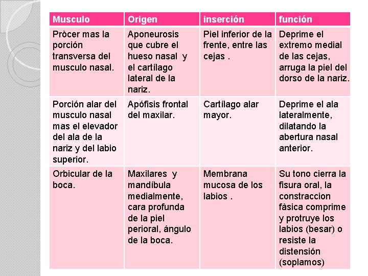 Musculo Origen inserción función Pròcer mas la porción transversa del musculo nasal. Aponeurosis que