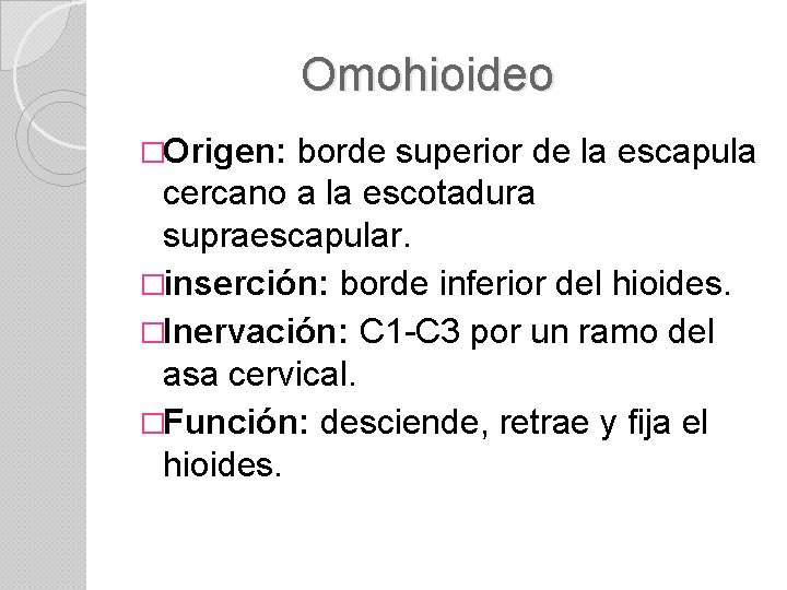 Omohioideo �Origen: borde superior de la escapula cercano a la escotadura supraescapular. �inserción: borde