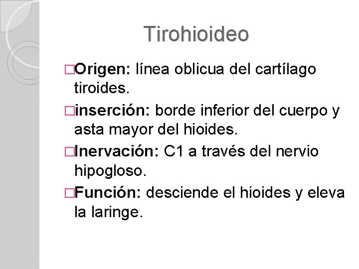 Tirohioideo �Origen: línea oblicua del cartílago tiroides. �inserción: borde inferior del cuerpo y asta