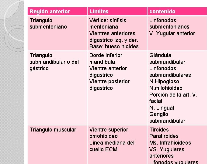 Región anterior Limites contenido Triangulo submentoniano Vértice: sínfisis mentoniana Vientres anteriores digastrico izq. y