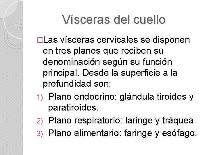 Vísceras del cuello �Las vísceras cervicales se disponen en tres planos que reciben su