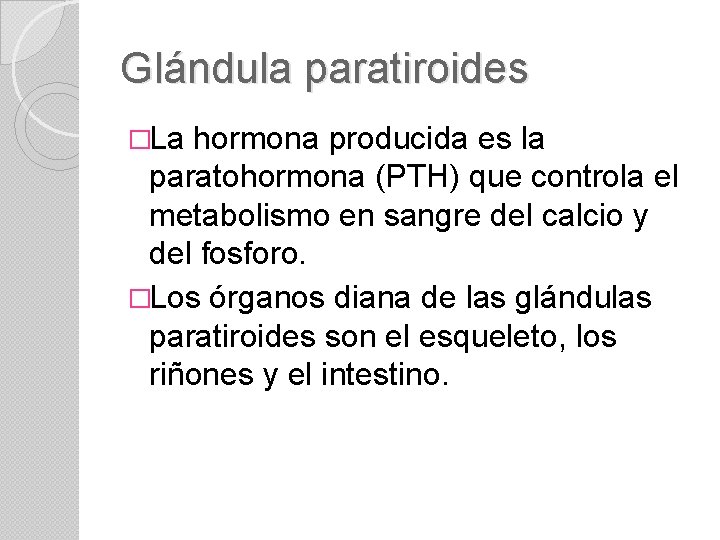 Glándula paratiroides �La hormona producida es la paratohormona (PTH) que controla el metabolismo en