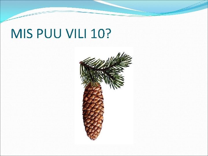 MIS PUU VILI 10? 