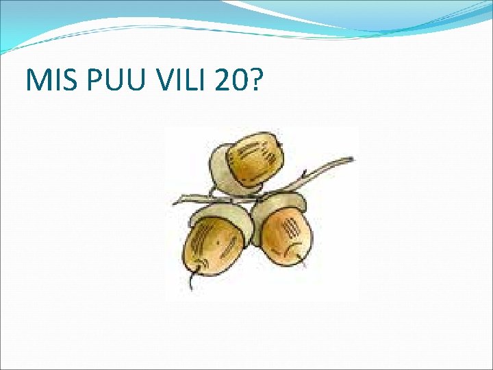 MIS PUU VILI 20? 