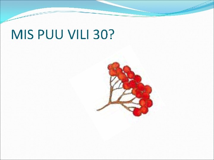 MIS PUU VILI 30? 