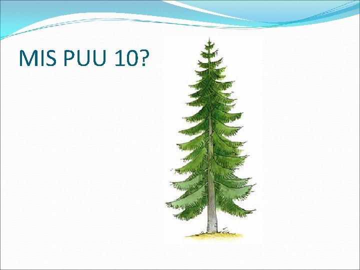 MIS PUU 10? 