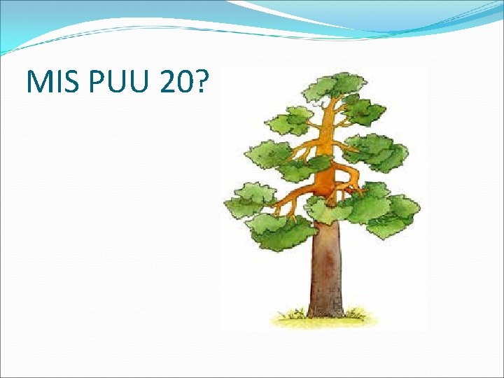 MIS PUU 20? 