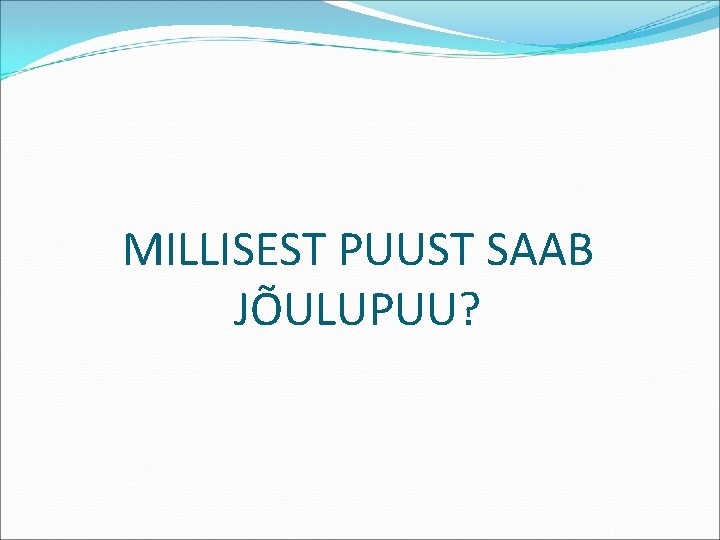 MILLISEST PUUST SAAB JÕULUPUU? 