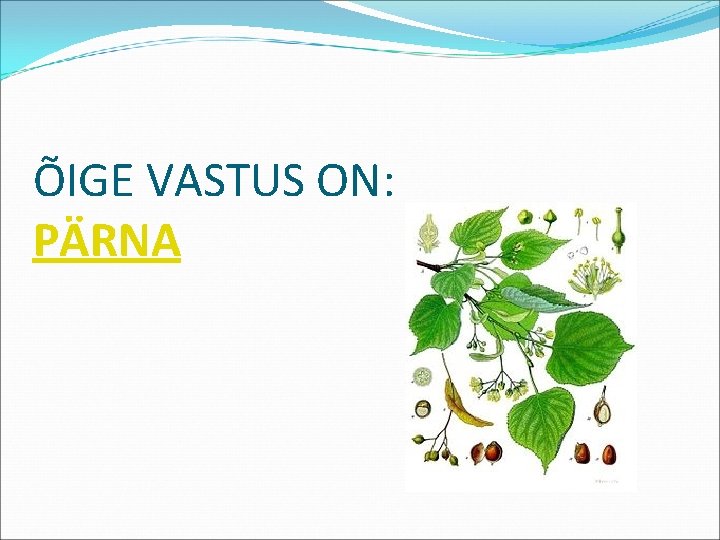 ÕIGE VASTUS ON: PÄRNA 