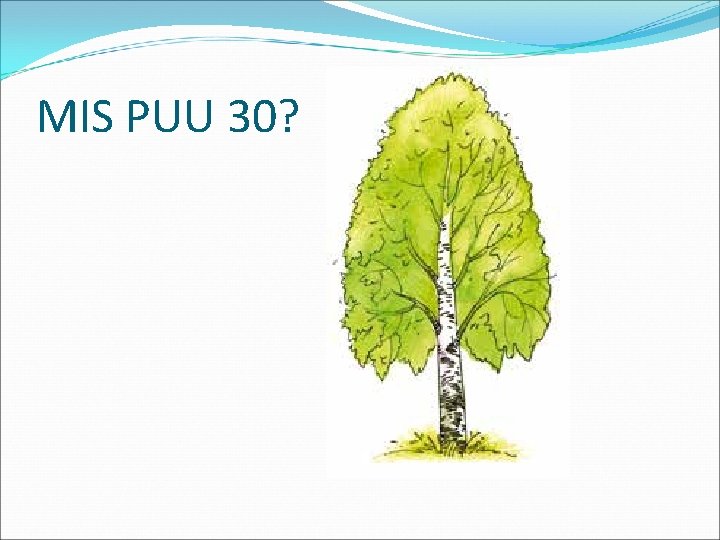 MIS PUU 30? 