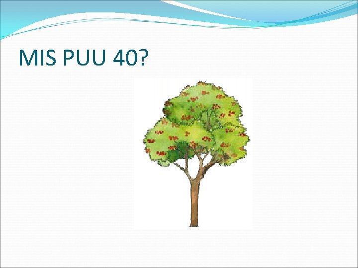 MIS PUU 40? 