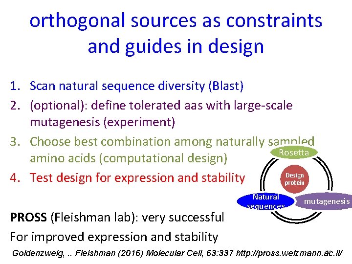 orthogonal sources as constraints and guides in design 1. Scan natural sequence diversity (Blast)