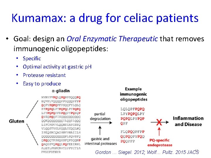 Kumamax: a drug for celiac patients • Goal: design an Oral Enzymatic Therapeutic that