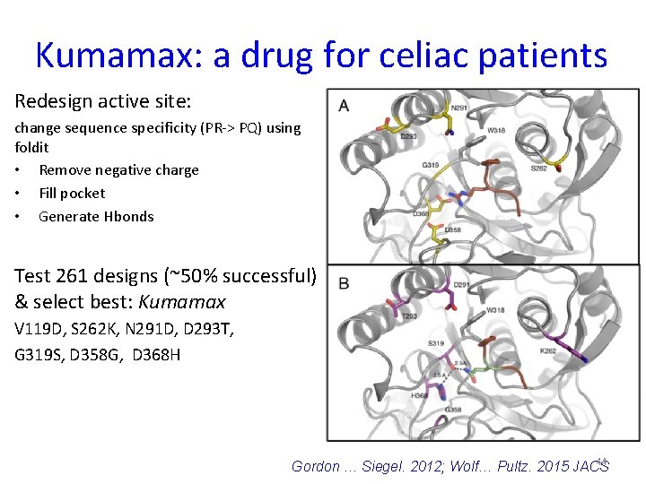 Kumamax: a drug for celiac patients Redesign active site: change sequence specificity (PR-> PQ)