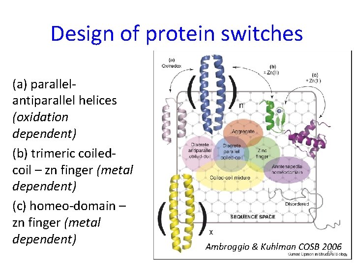 Design of protein switches (a) parallelantiparallel helices (oxidation dependent) (b) trimeric coiledcoil – zn