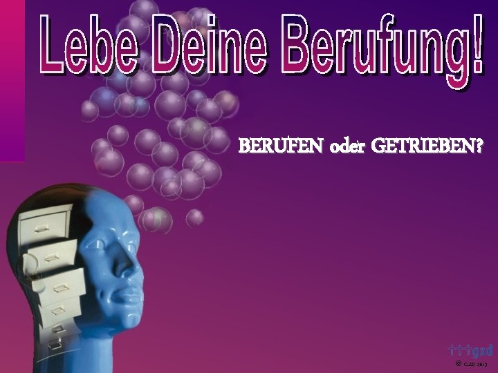 BERUFEN oder GETRIEBEN? GZD 2013 