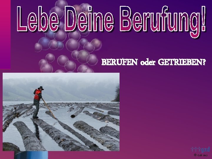 BERUFEN oder GETRIEBEN? GZD 2013 