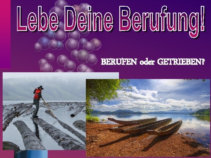 BERUFEN oder GETRIEBEN? GZD 2013 