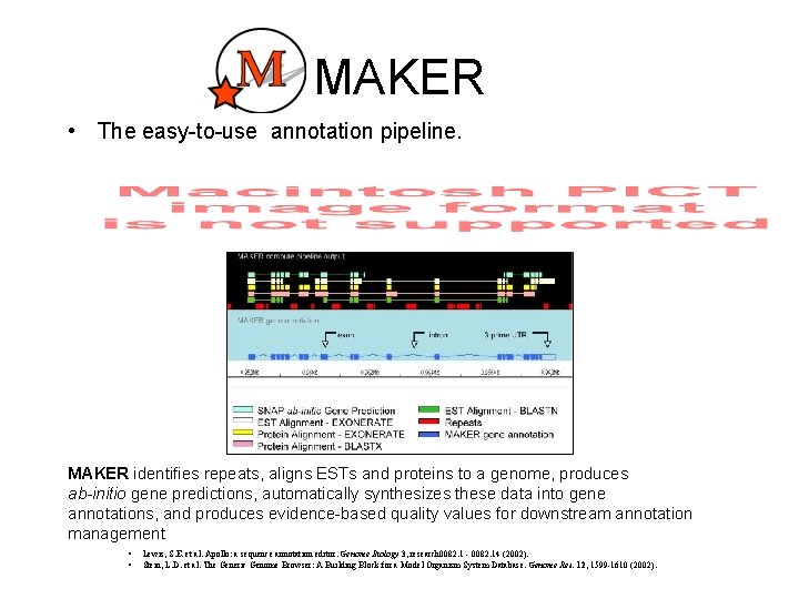 MAKER • The easy-to-use annotation pipeline. MAKER identifies repeats, aligns ESTs and proteins to MAKER • The easy-to-use annotation pipeline. MAKER identifies repeats, aligns ESTs and proteins to