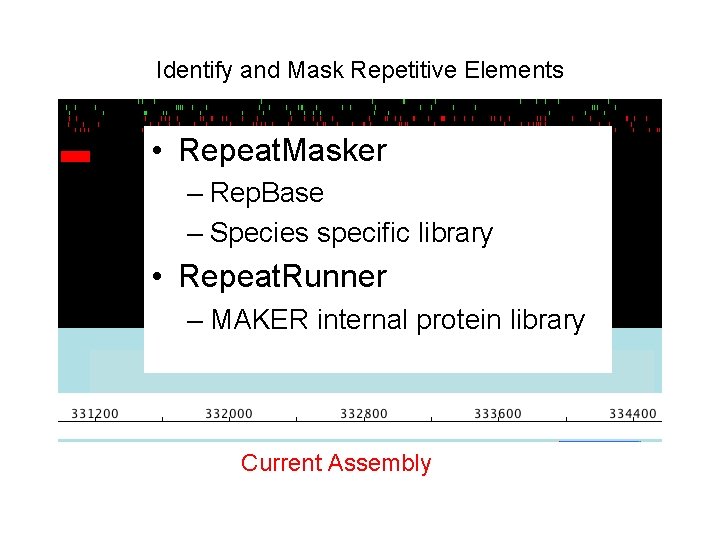 Identify and Mask Repetitive Elements • Repeat. Masker – Rep. Base – Species specific. Identify and Mask Repetitive Elements • Repeat. Masker – Rep. Base – Species specific.
