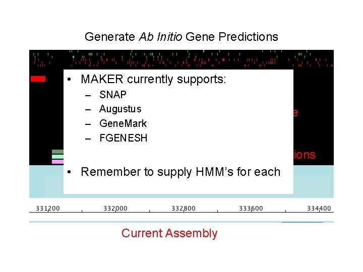 Generate Ab Initio Gene Predictions • MAKER currently supports: – – SNAP Augustus Gene. Generate Ab Initio Gene Predictions • MAKER currently supports: – – SNAP Augustus Gene.