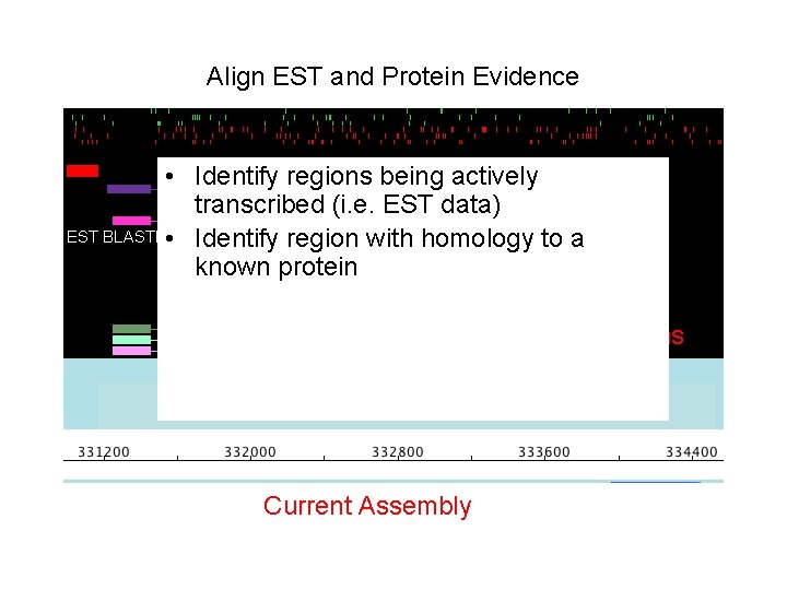 Align EST and Protein Evidence • Identify EST regions being actively TBLASTX transcribed. Protein Align EST and Protein Evidence • Identify EST regions being actively TBLASTX transcribed. Protein
