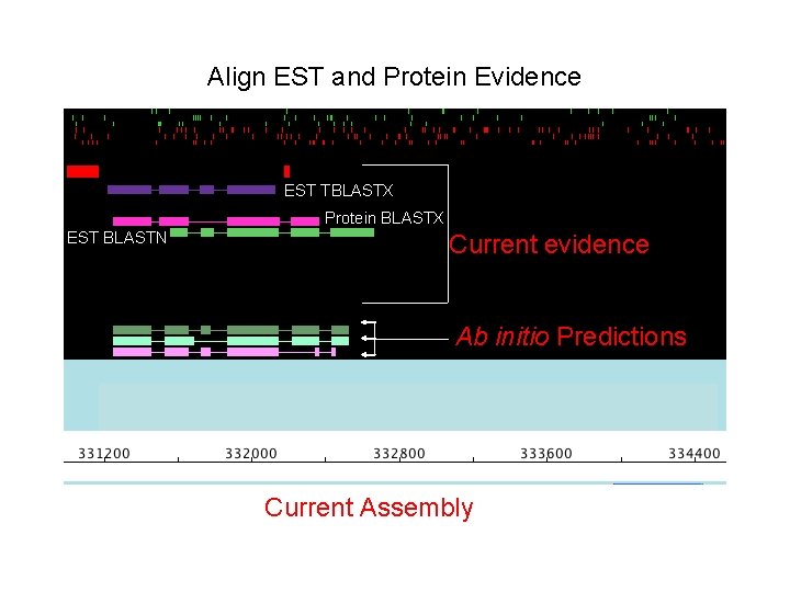 Align EST and Protein Evidence EST TBLASTX Protein BLASTX EST BLASTN Current evidence Ab Align EST and Protein Evidence EST TBLASTX Protein BLASTX EST BLASTN Current evidence Ab