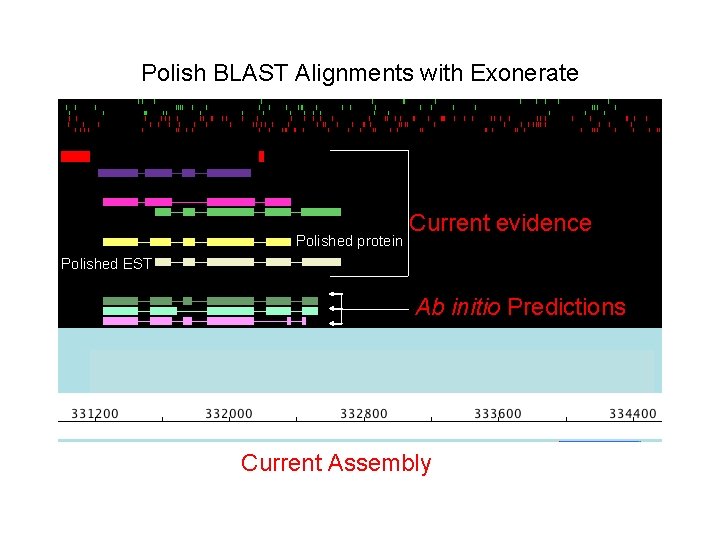 Polish BLAST Alignments with Exonerate Polished protein Current evidence Polished EST Ab initio Predictions Polish BLAST Alignments with Exonerate Polished protein Current evidence Polished EST Ab initio Predictions