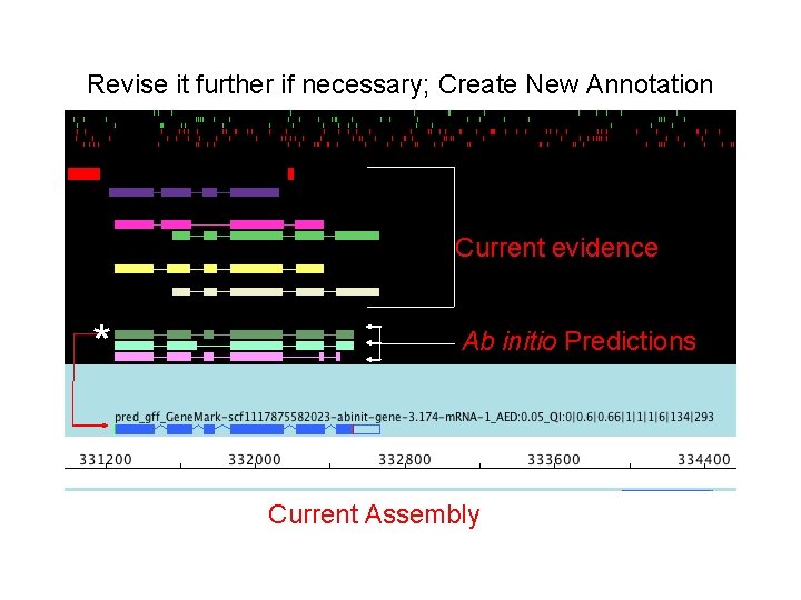 Revise it further if necessary; Create New Annotation Current evidence * Ab initio Predictions Revise it further if necessary; Create New Annotation Current evidence * Ab initio Predictions