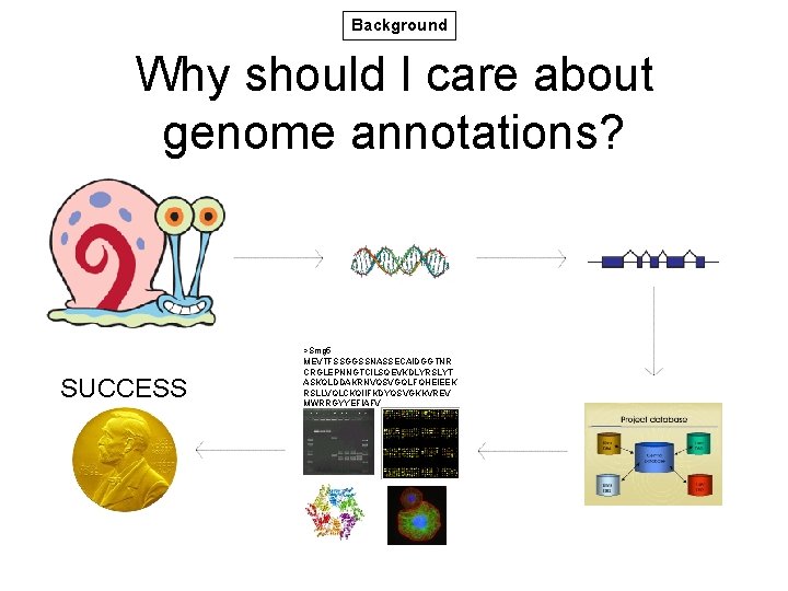 Background Why should I care about genome annotations? SUCCESS >Smg 5 MEVTFSSGGSSNASSECAIDGGTNR CRGLEPNNGTCILSQEVKDLYRSLYT ASKQLDDAKRNVQSVGQLFQHEIEEK Background Why should I care about genome annotations? SUCCESS >Smg 5 MEVTFSSGGSSNASSECAIDGGTNR CRGLEPNNGTCILSQEVKDLYRSLYT ASKQLDDAKRNVQSVGQLFQHEIEEK