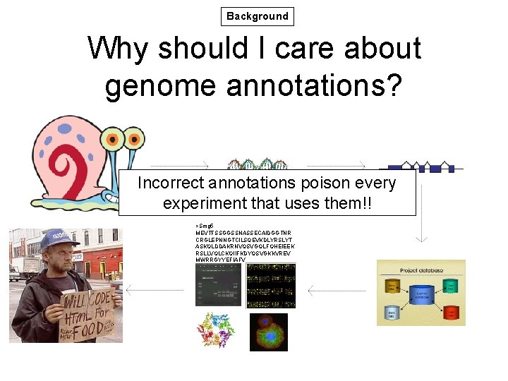 Background Why should I care about genome annotations? Incorrect annotations poison every experiment that Background Why should I care about genome annotations? Incorrect annotations poison every experiment that