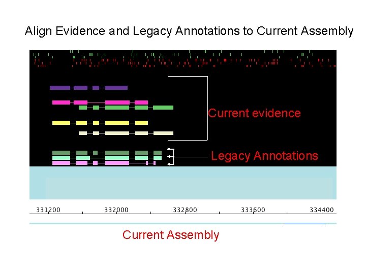 Align Evidence and Legacy Annotations to Current Assembly Current evidence Legacy Annotations Current Assembly Align Evidence and Legacy Annotations to Current Assembly Current evidence Legacy Annotations Current Assembly