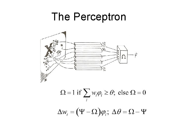 The Perceptron 