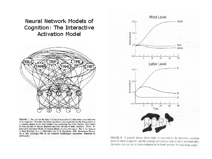 Neural Network Models of Cognition: The Interactive Activation Model 