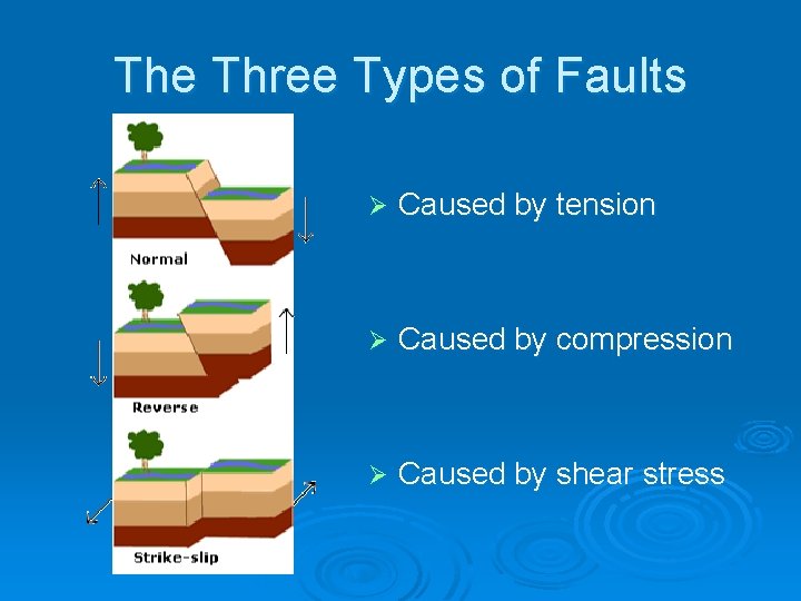 The Three Types of Faults Ø Caused by tension Ø Caused by compression Ø